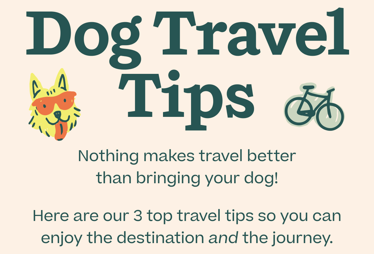 Woof | Dog Travel Tips