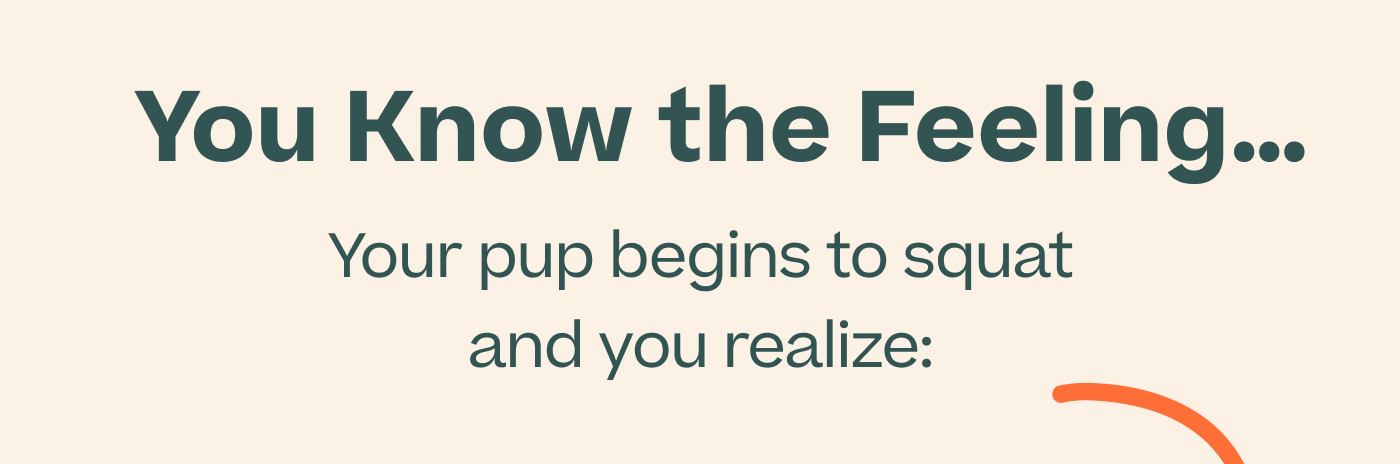 You Know the Feeling… Your pup begins to squat and you realize: