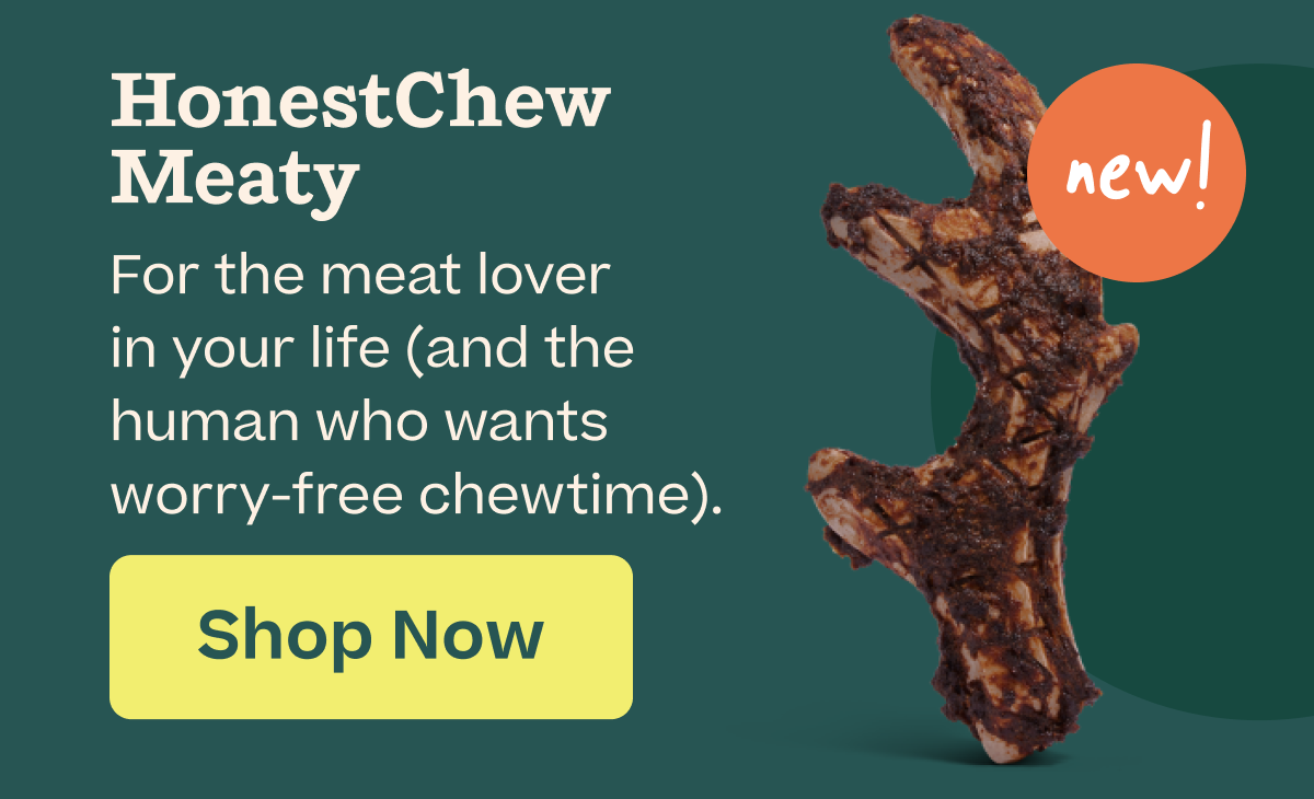HonestChew Meaty | Shop Now