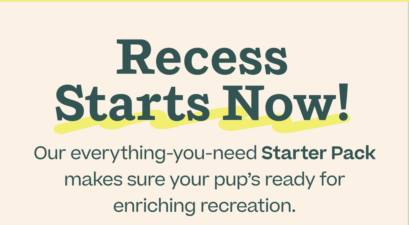 Recess Starts Now! Our everything-you-need Starter Pack makes sure your pup's ready for enriching recreation.