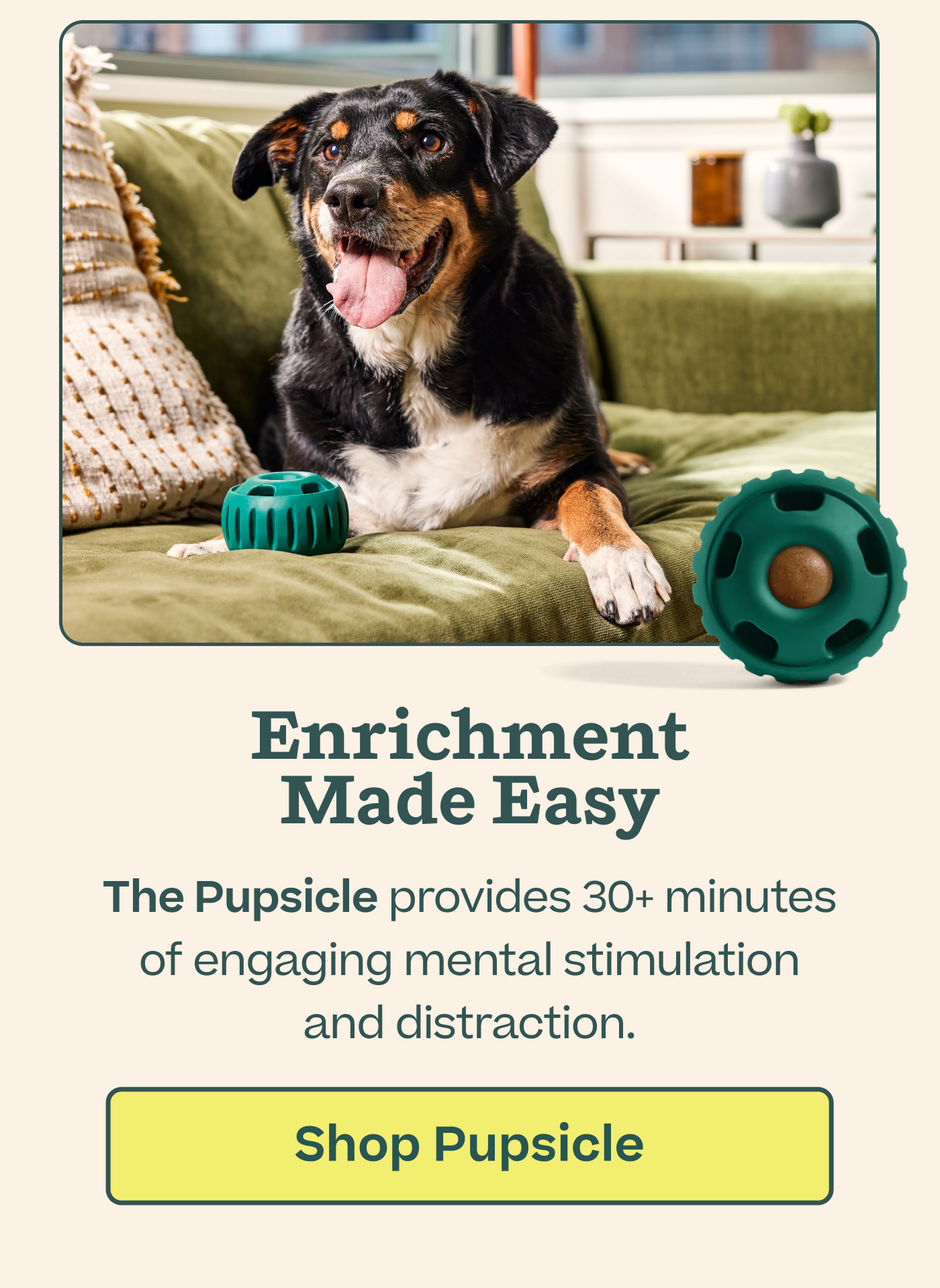 Enrichment Made Easy  The Pupsicle provides 30+ minutes of engaging mental stimulation and distraction.  |  Shop Pupsicle