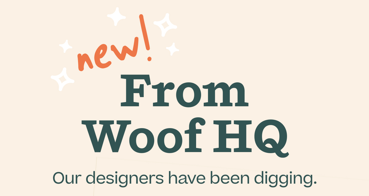 New From Woof HQ.  Our designers have been digging. 