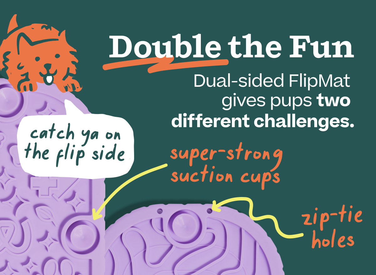 Double the Fun! Dual-sided FlipMat gives pups two different challenges |Shop FlipMat 