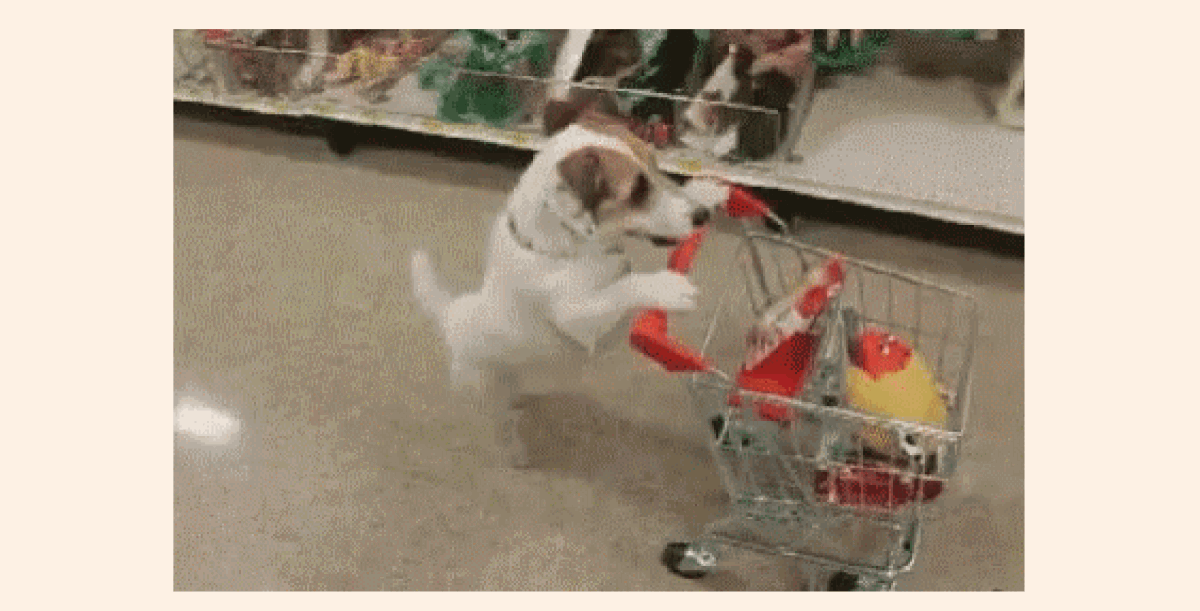 GIF: dog pushing shopping cart through an aisle.