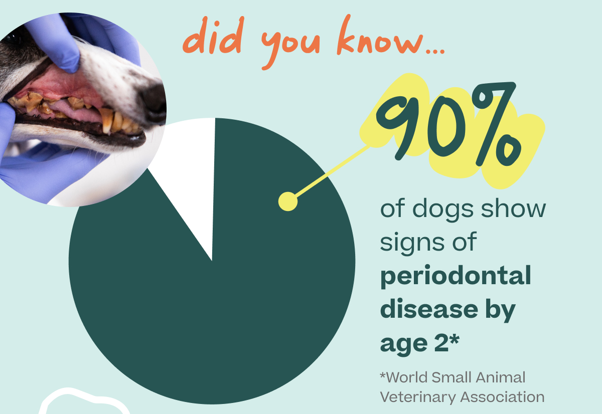 did you know... 90% of dogs show signs of periodontal disease by age 2*. |. *World Small Animal Veterinary Association