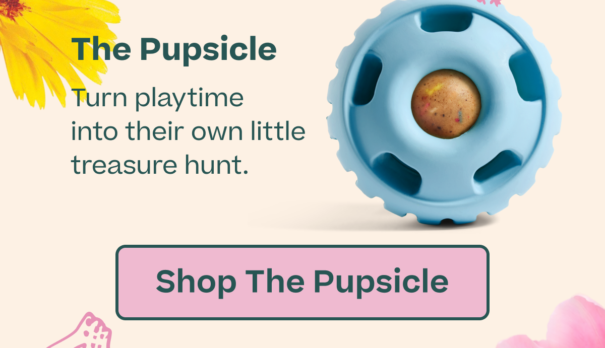 Shop The Pupsicle