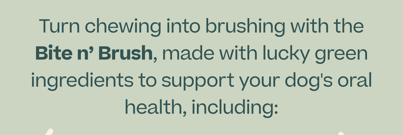 Turn chewing into brushing with the Bite n' Brush, made with lucky green ingredients to support your dog's oral health, including:
