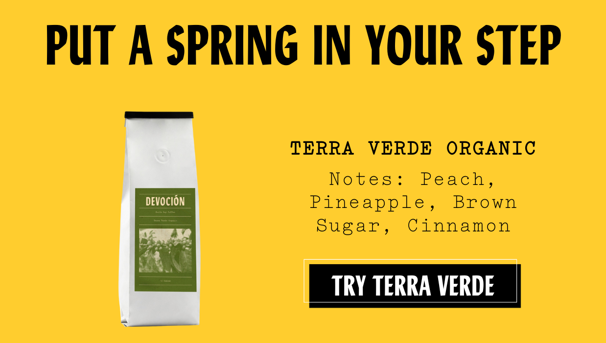 Grab a bag of our favorite Spring coffees 🌸 Devoción
