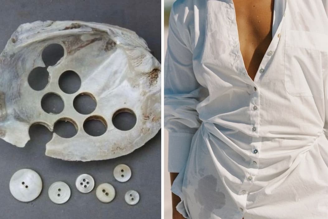 Natural shell buttons on a UNIKSPACE shirt