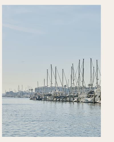 Explore New Arrivals 200