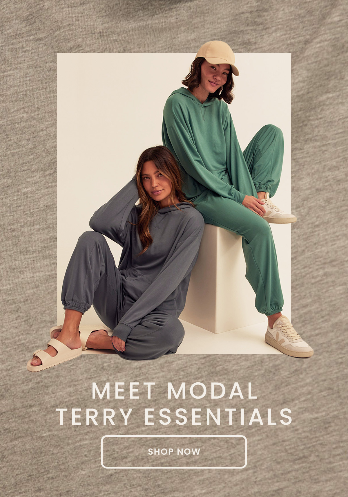 Shop Modal Terry