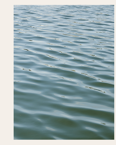 Explore New Arrivals 