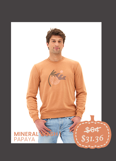 Mineral Wash Graphic Fleece Crew