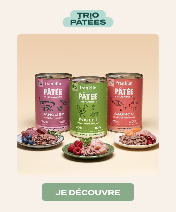 lot-decouverte-patees-chien