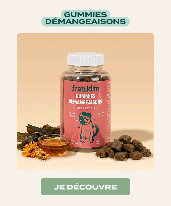 gummies anti-démangeaisons