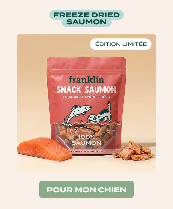 friandises 100% saumon
