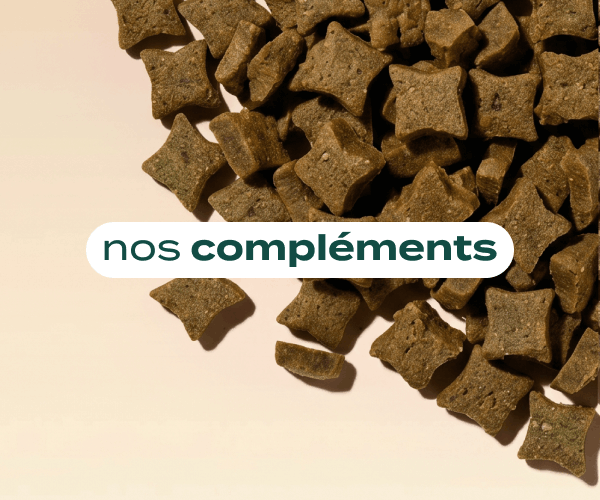nos friandises