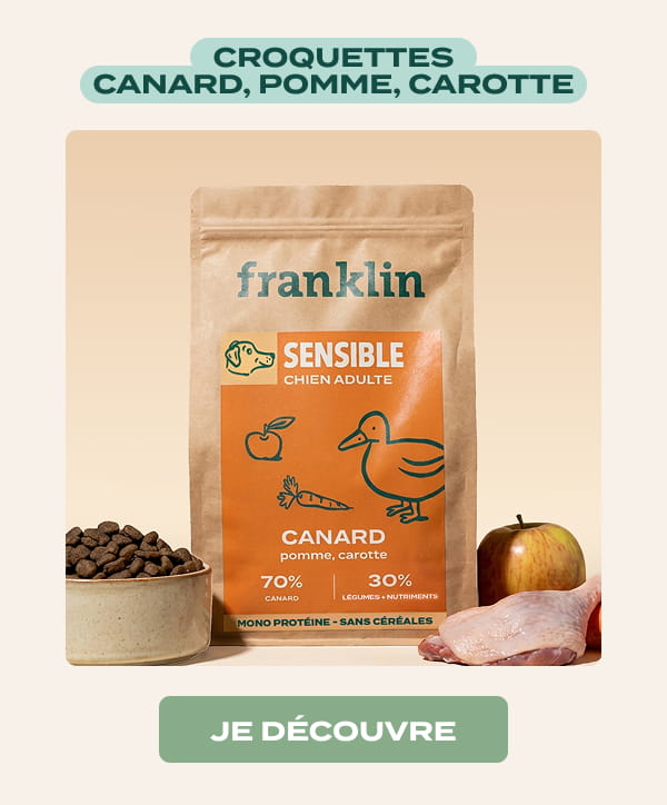 canard pomme carotte