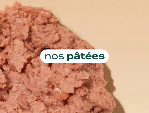nos pâtées