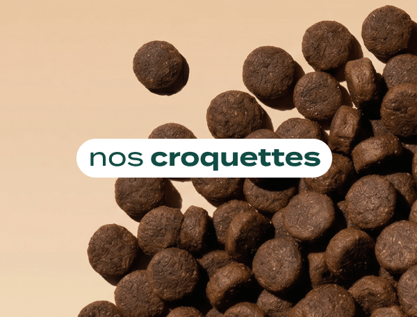 nos croquettes