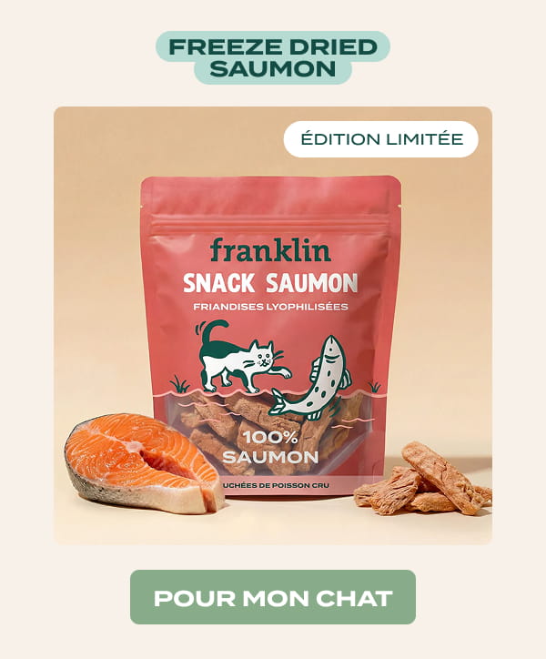 friandises 100% saumon