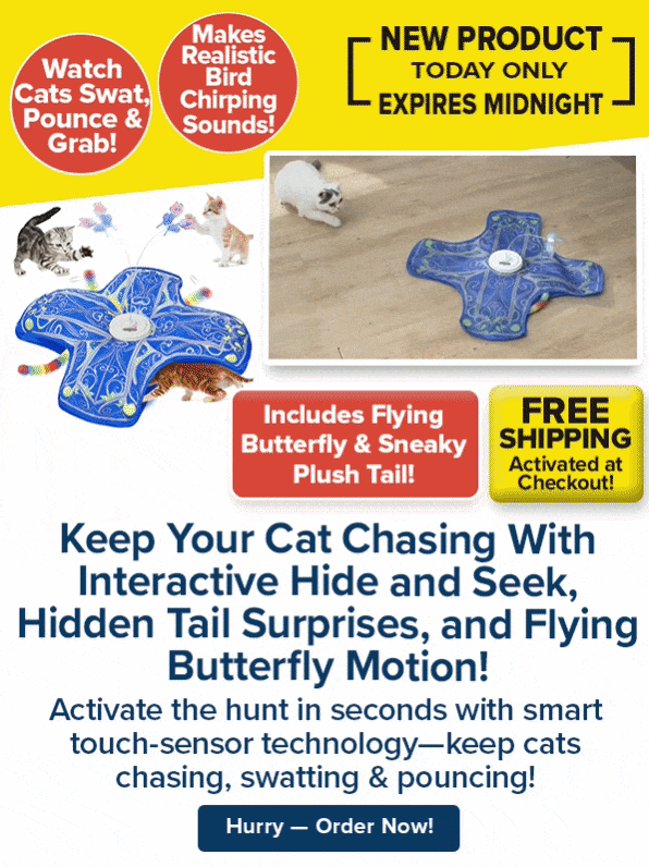 Keep Your Cat Chasing With Interactive Hide and Seek, Hidden Tail Surprises, and Flying Butterfly Motion!