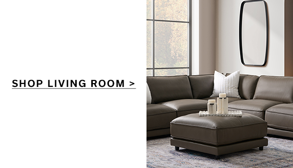 SHOP LIVING ROOM >