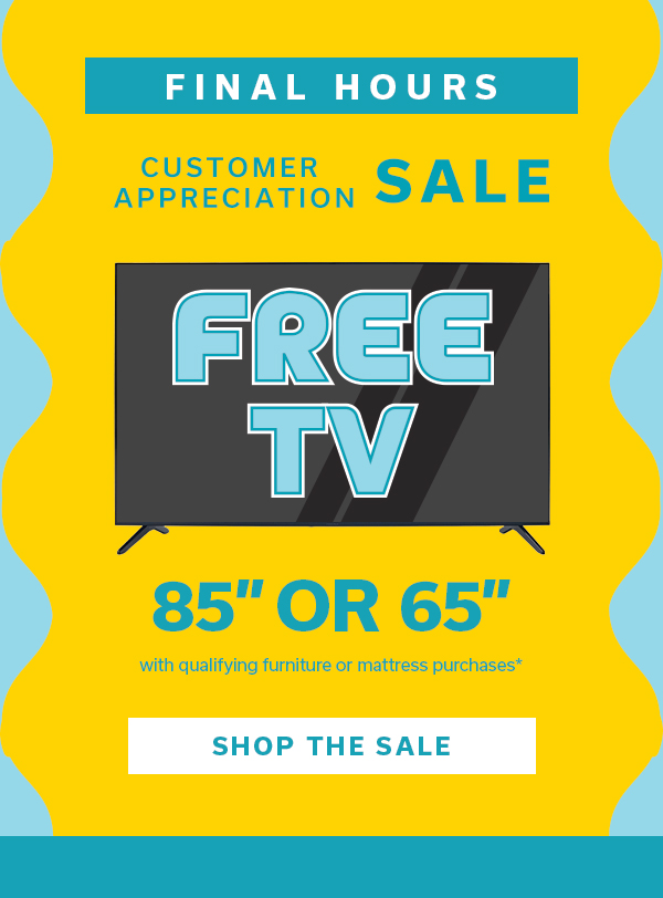 Final Hours | Customer Appreciation Sale | FREE TV | SHOP THE SALE >