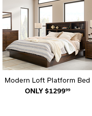 Modern Loft Platform Bed >