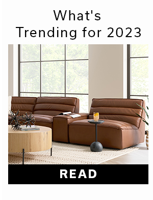 What's Trending for 2023 | READ >