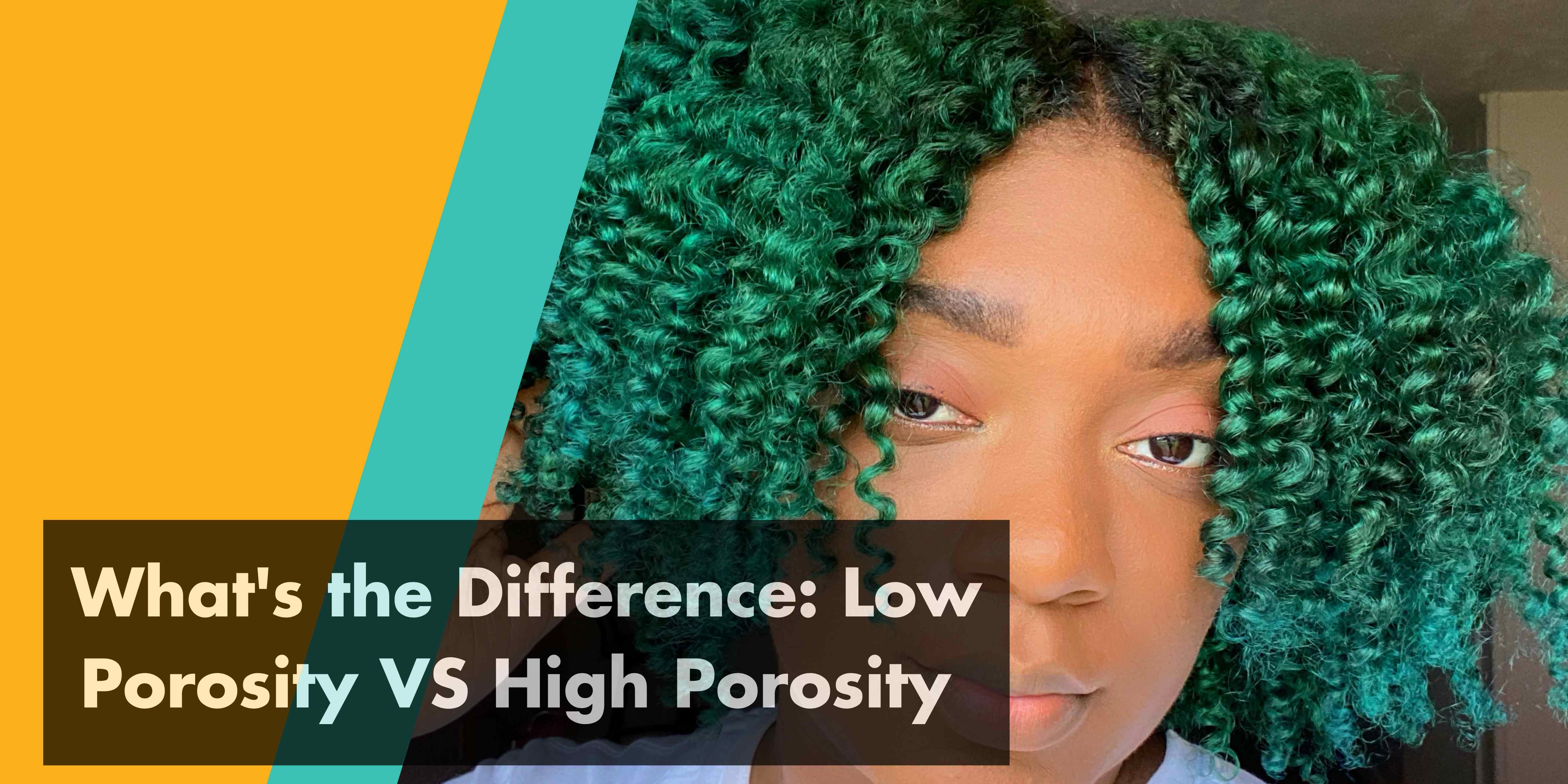 Low vs High Porosity Hair What's the Difference?🤔 Bask And Bloom