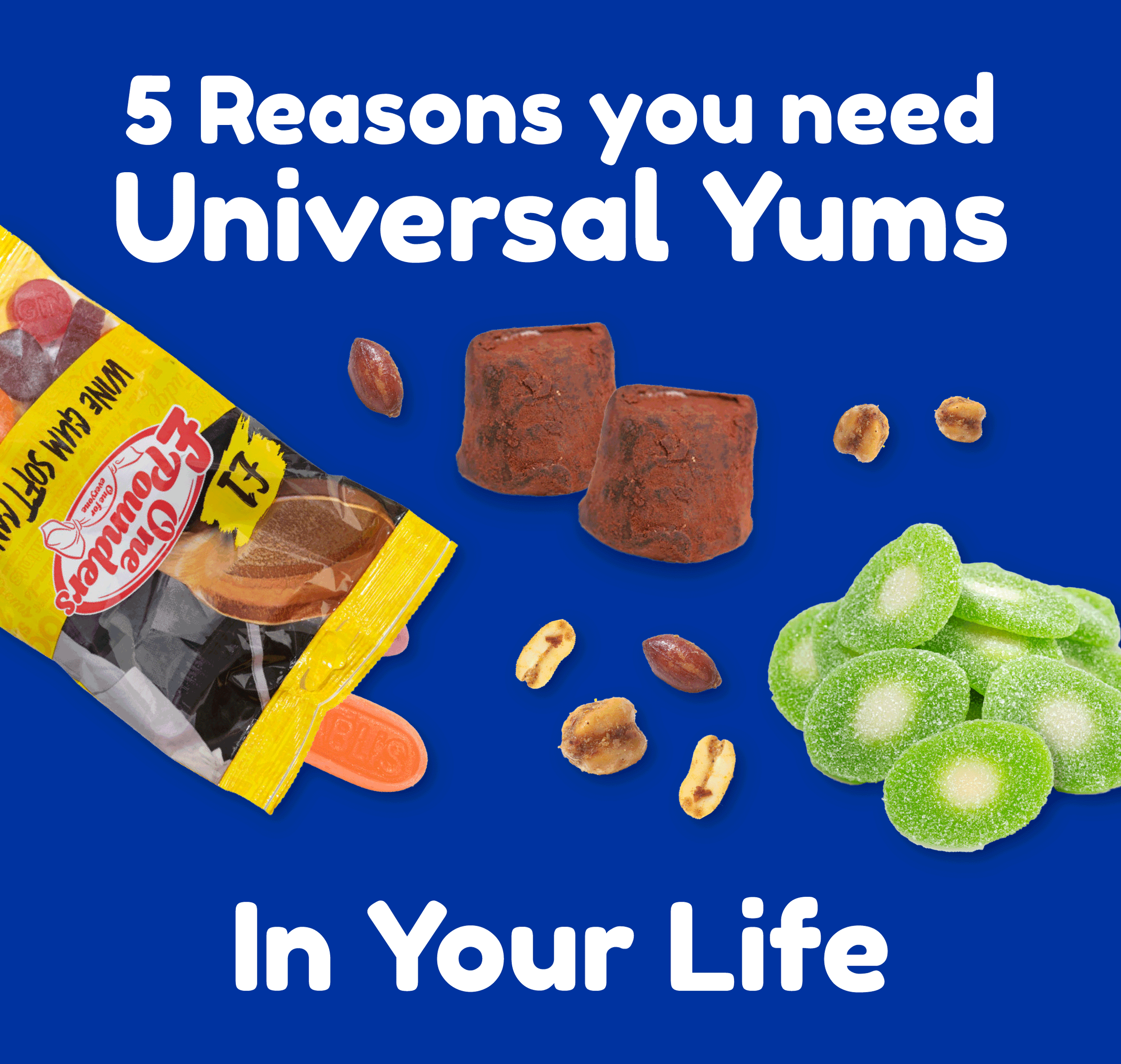 5️ Reasons This Box is 🔥 Universal Yums