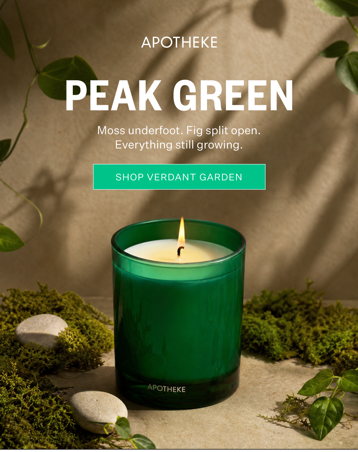 Peak Green | Shop Verdant Garden