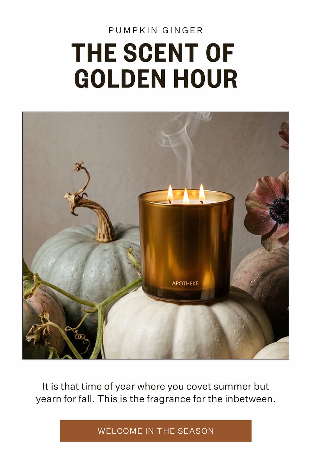 Pumpkin Ginger - The Scent of Golden Hour