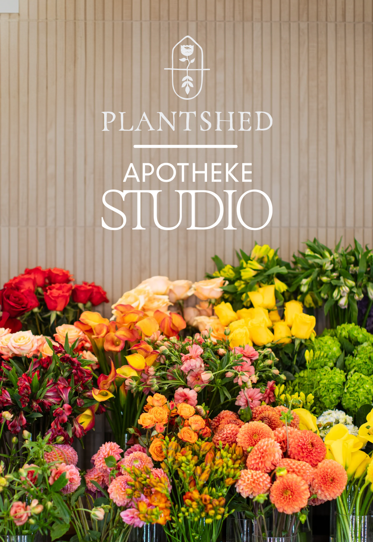 PLANTSHED x Apotheke Studio