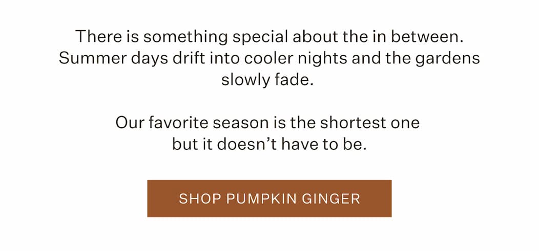 There is something special about the in between. Shop Pumpkin Ginger