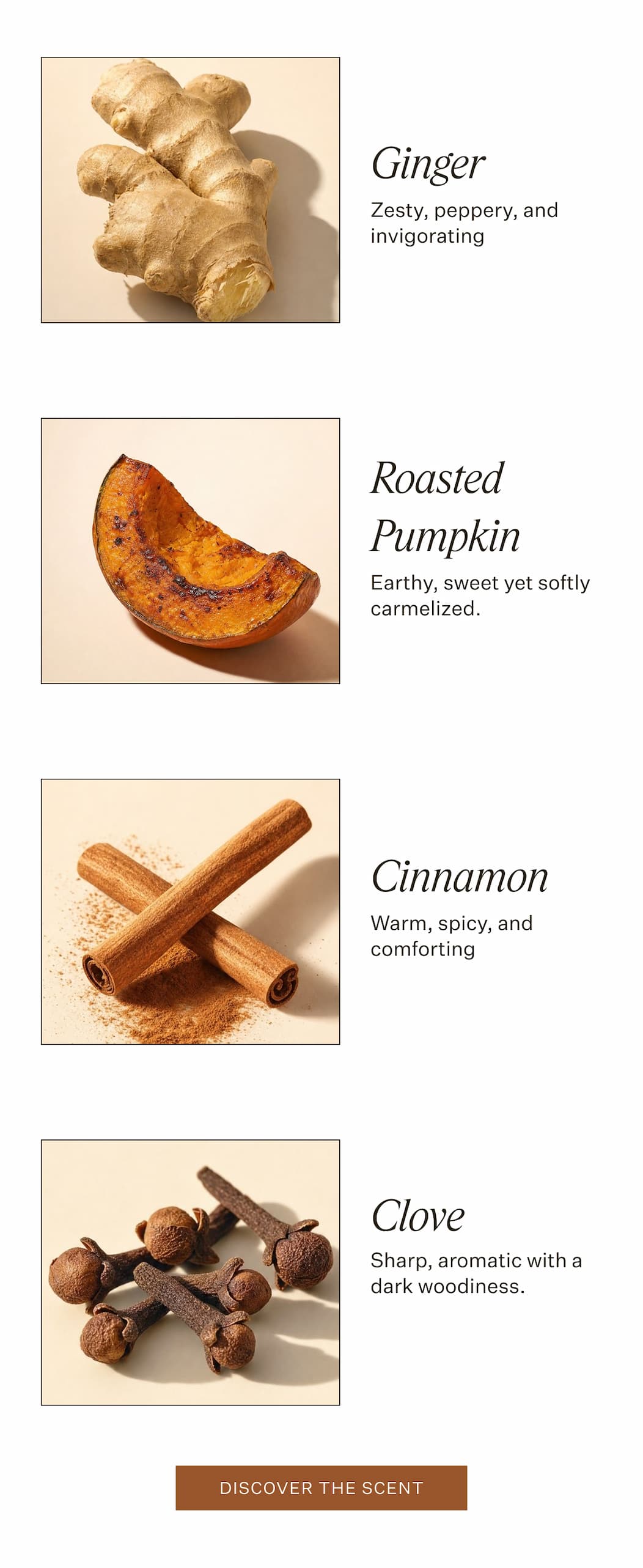Ginger, Roasted Pumpkin, Cinnamon and Clove