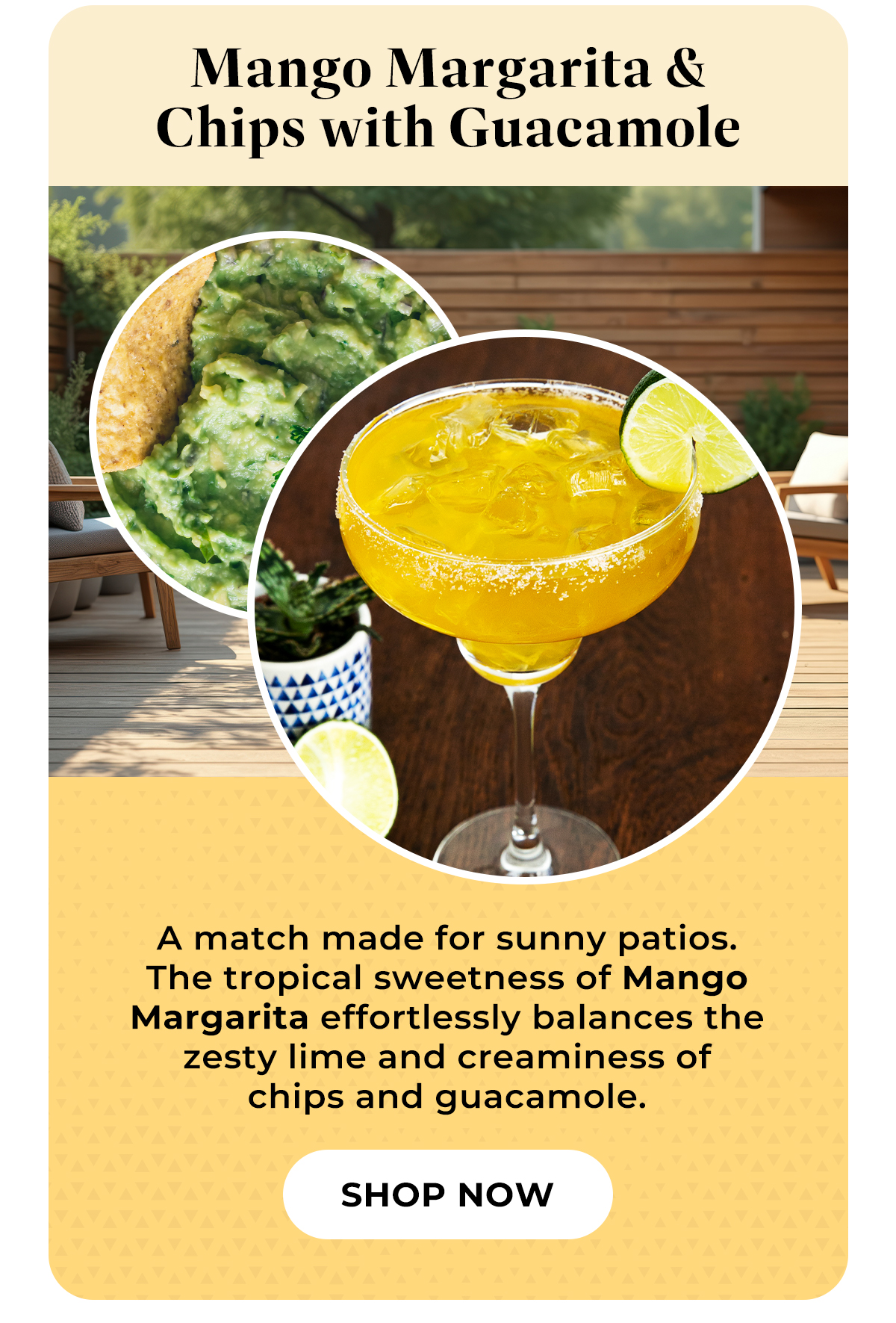 Mango Margarita & Chips with Guacamole