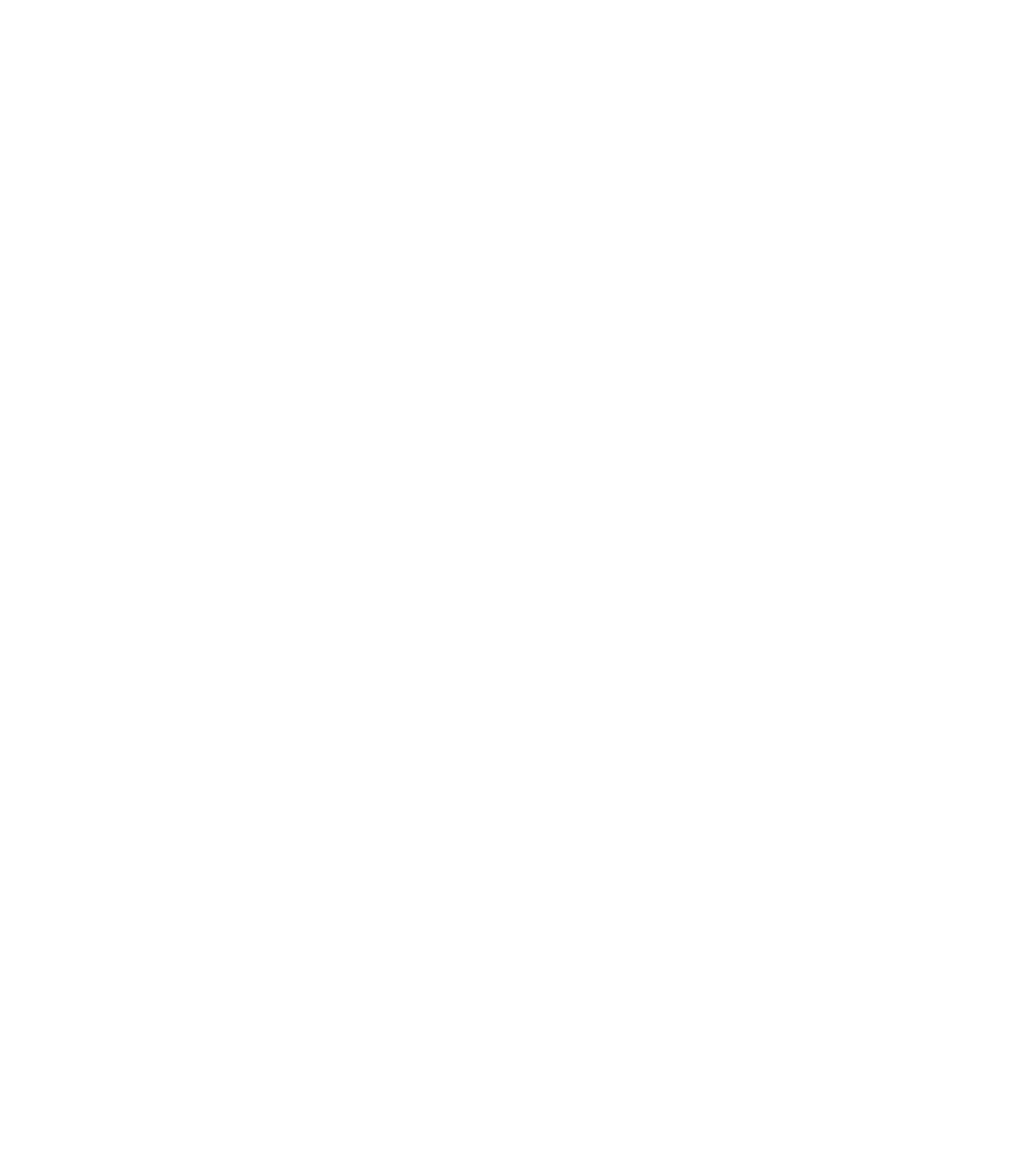 Hiut Denim Co. red owl logo