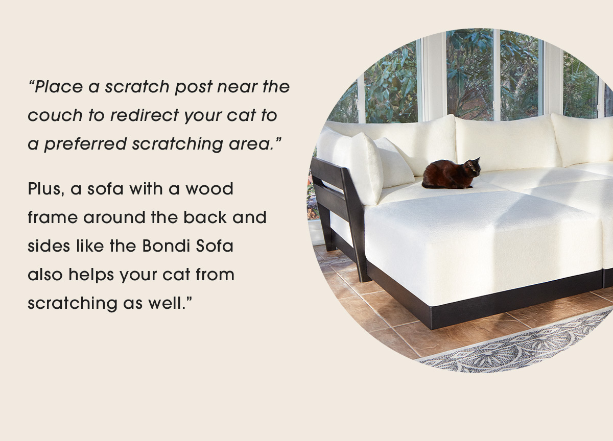 Meet the sofa that is Kitten Lady approved Inside Weather