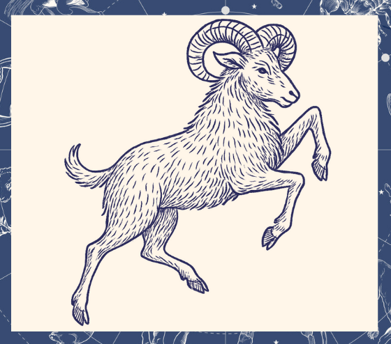 Capricorn