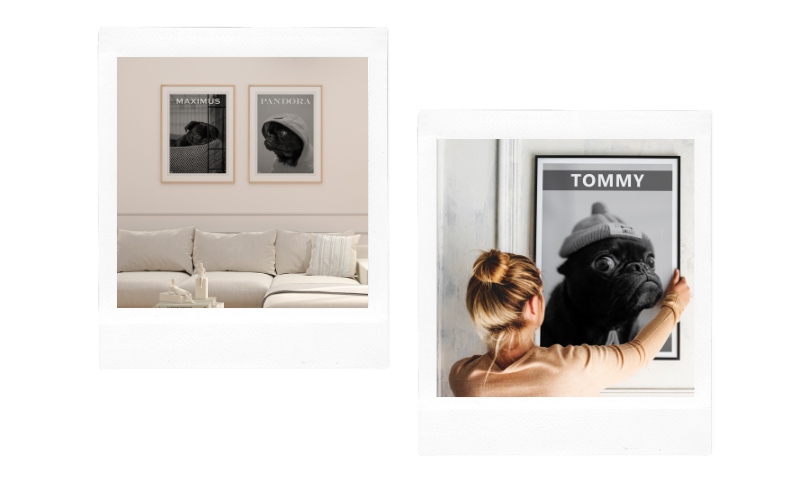 New Designs for 2023 Crown & Paw