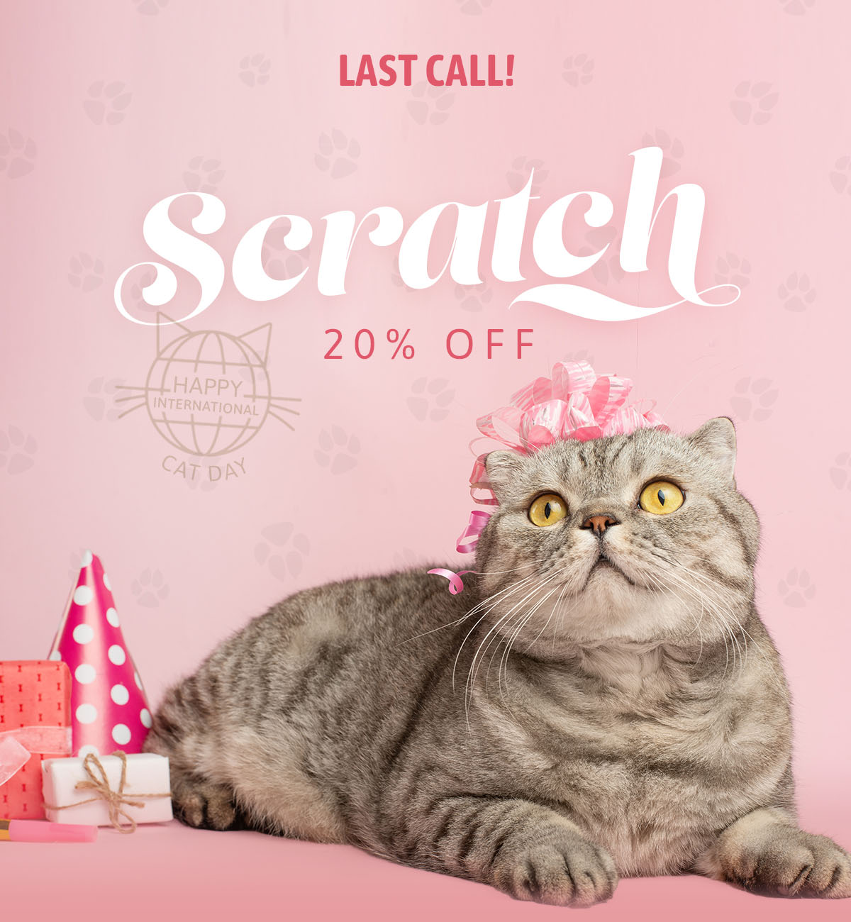 Pounce on it now 🙀 Crown & Paw