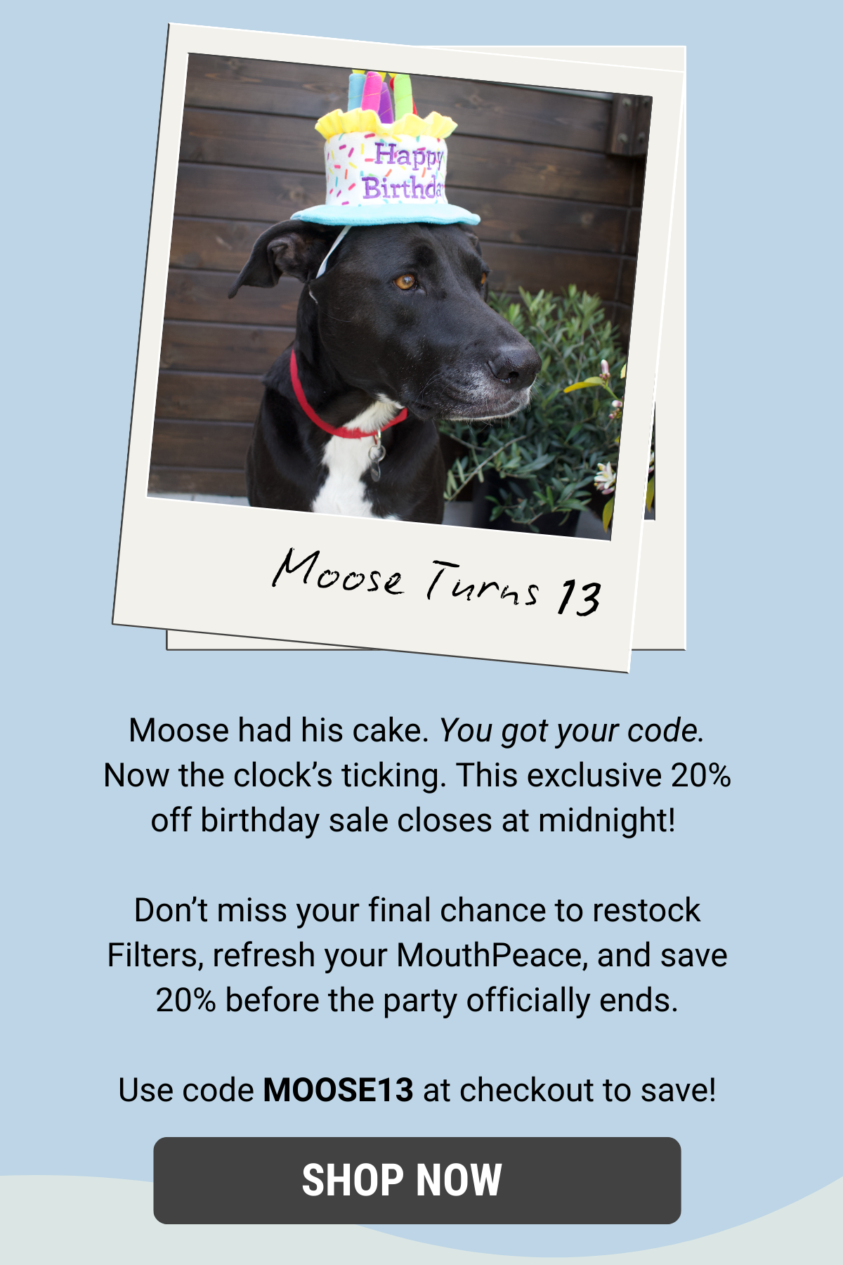 Don't miss your final chance to restock and save 20% before the party officially ends tonight.