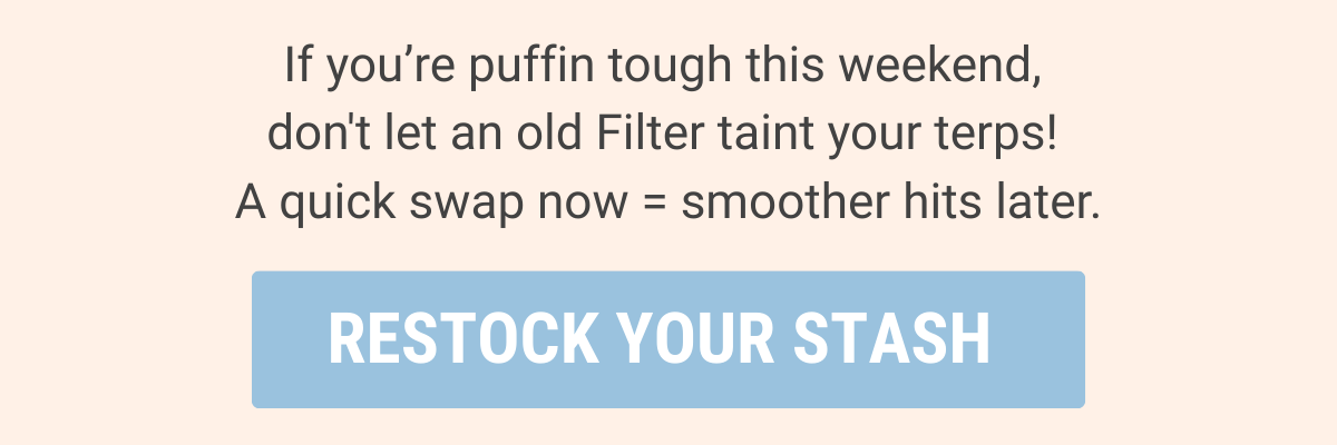 Don't let an old Filter taint your terps! Restock your stash