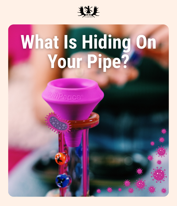 What's hiding on your pipe?