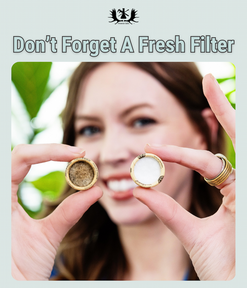 Don't Forget A Fresh Filter