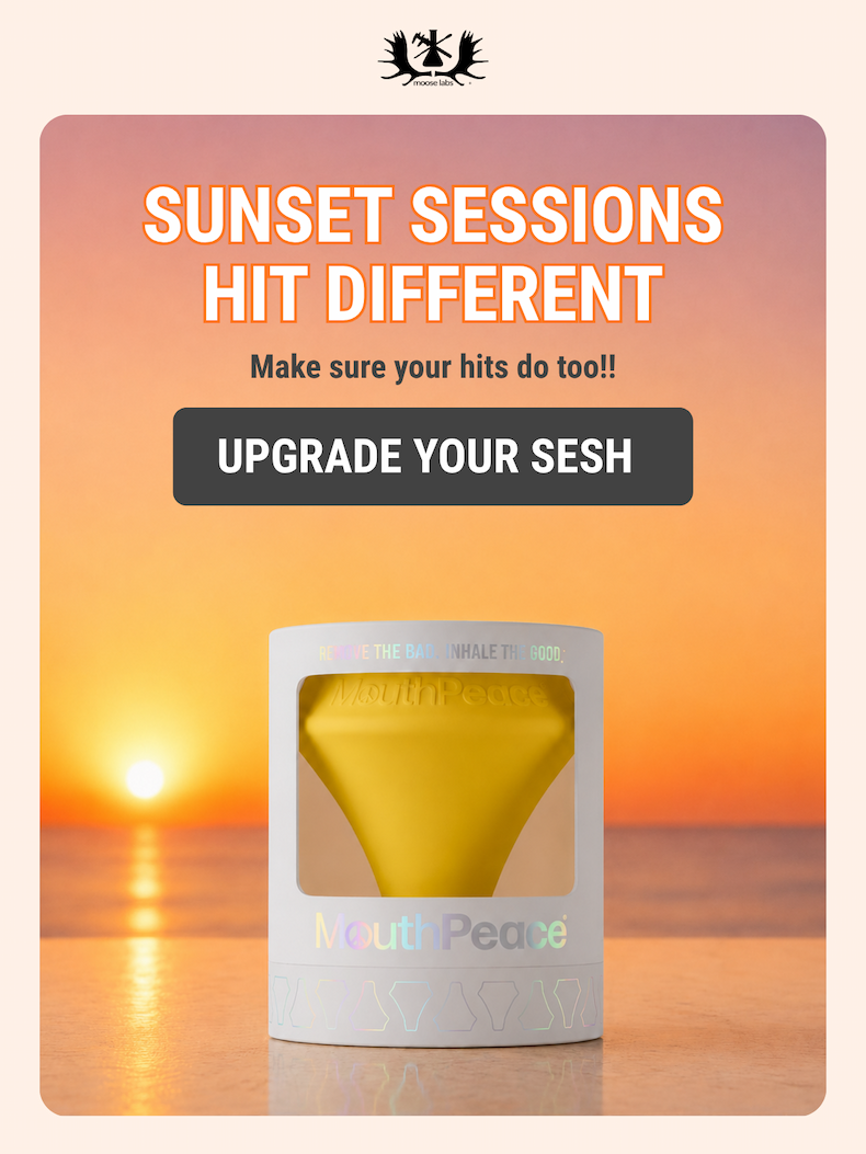 Sunset Sessions Hit Different. Upgrade Your Sesh.