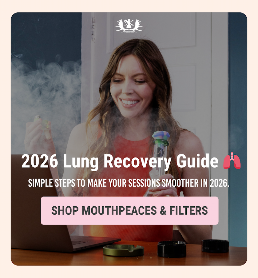 2026 Lung Recovery Guide