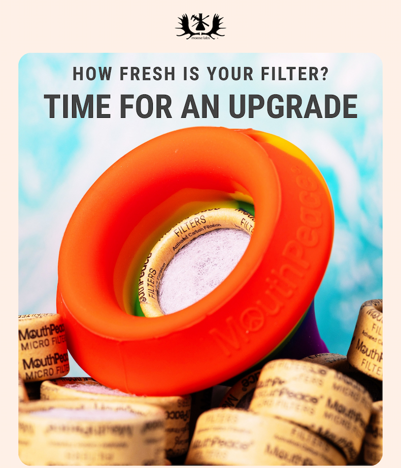 How fresh is your Filter?